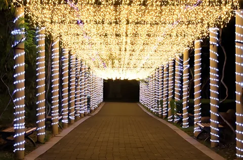 Decorative Lighting